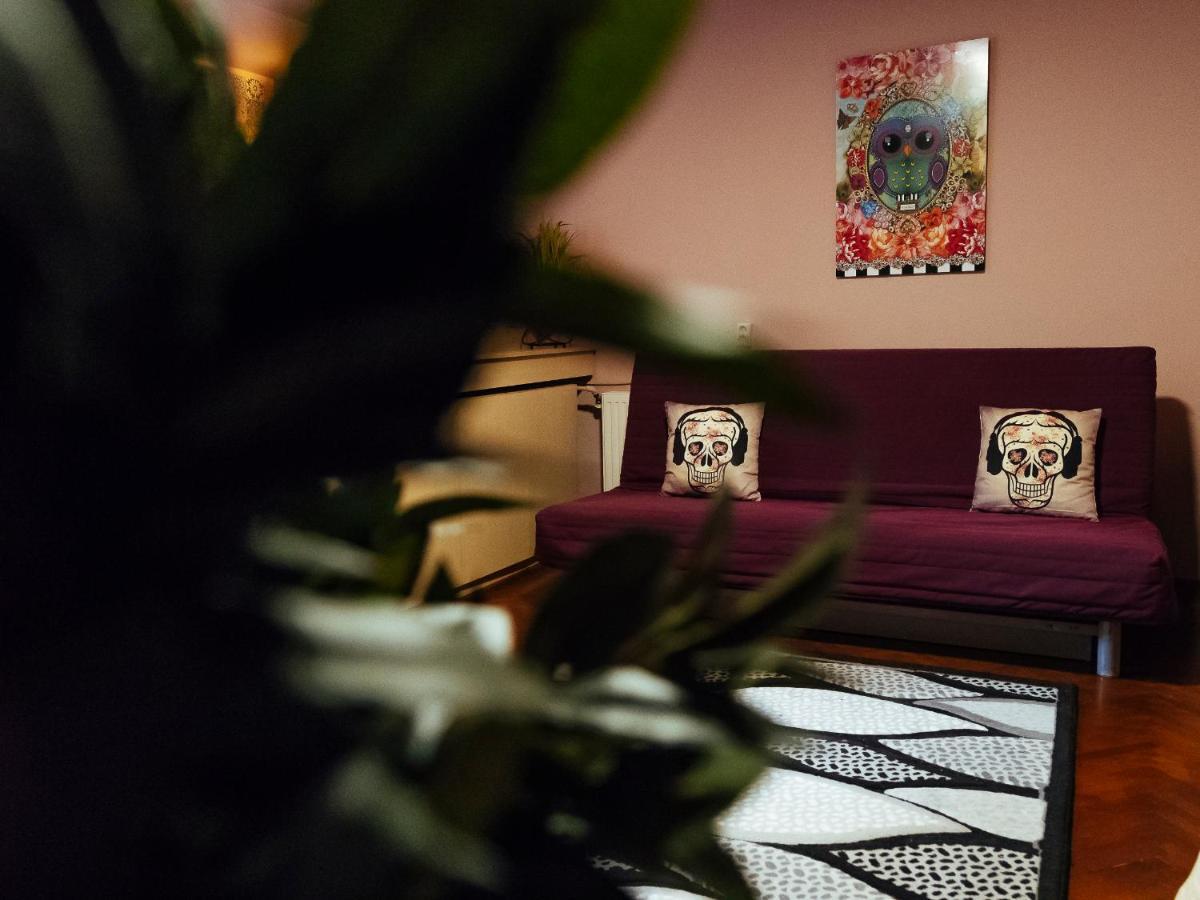 Woody - Cozy And Quiet Place Near Moghioros Park 부쿠레슈티 외부 사진